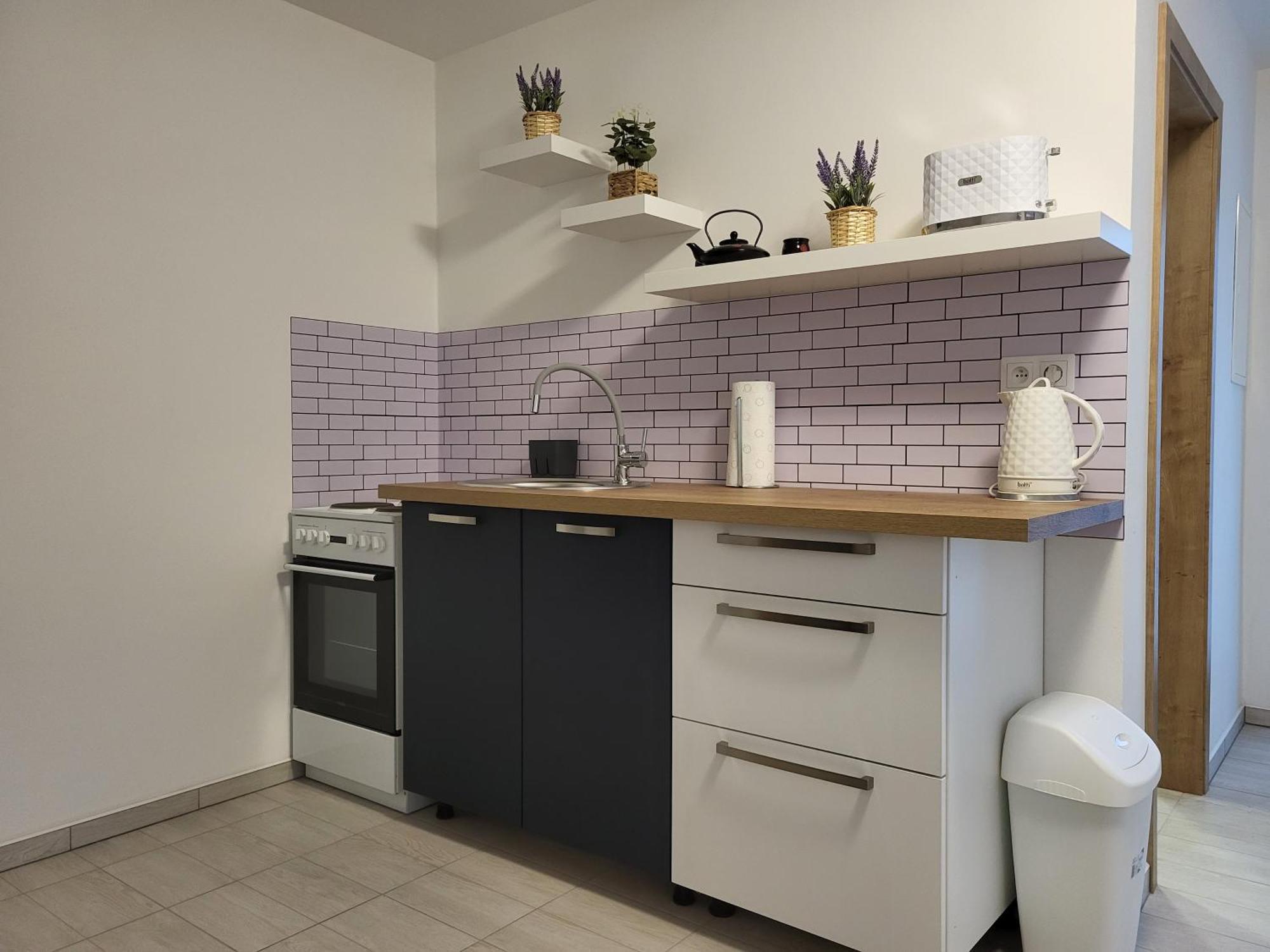 Apartman Na Karlicku Karlov  Esterno foto